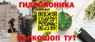 крисы Тара